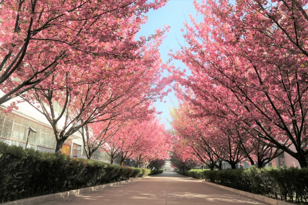 640.webp (14).jpg 640.webp (14).jpg