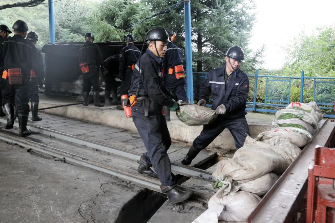 图片13.png 图片13.png